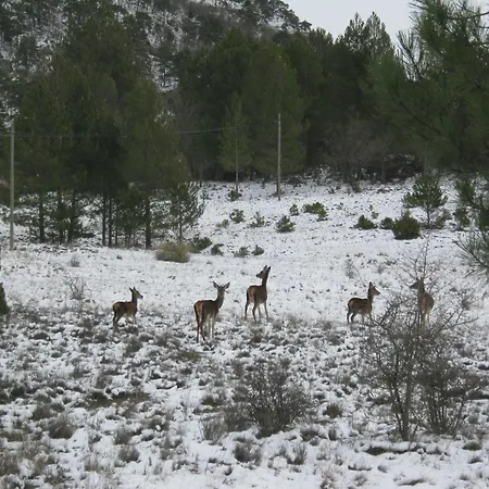 Aire Turismo Rural-3