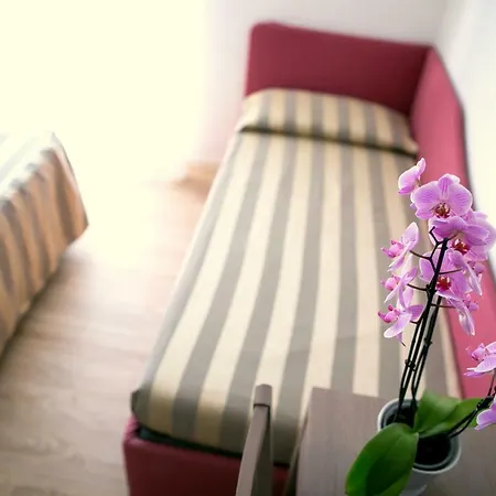 Hotel Myosotis-2