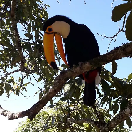 Pousada Natureza-2