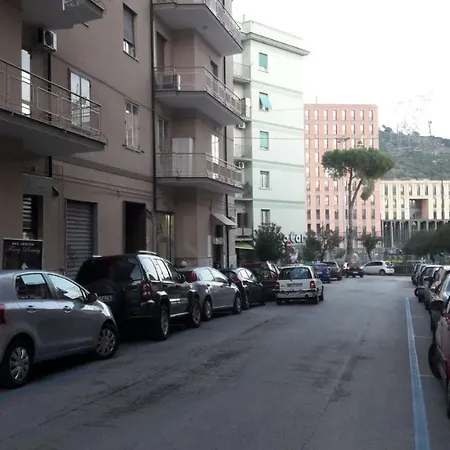 Ad Maiora-3