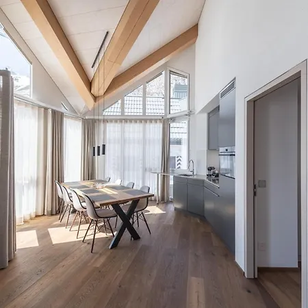 Andermatt Alpine Apartments-2