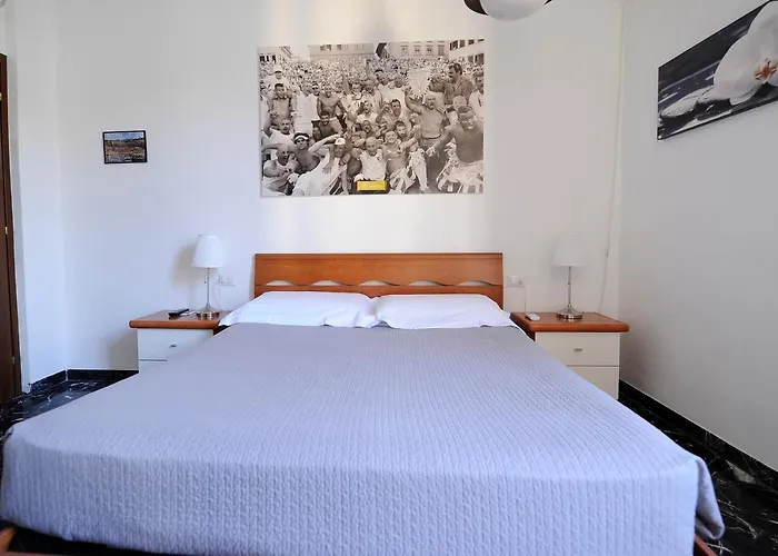 Hotel adatto agli animali: B&B Calcio Storico