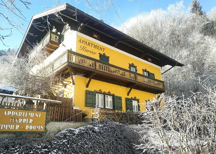 Apartment: Appartement Harrer