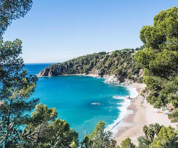 Camping: Camping Cala Llevado