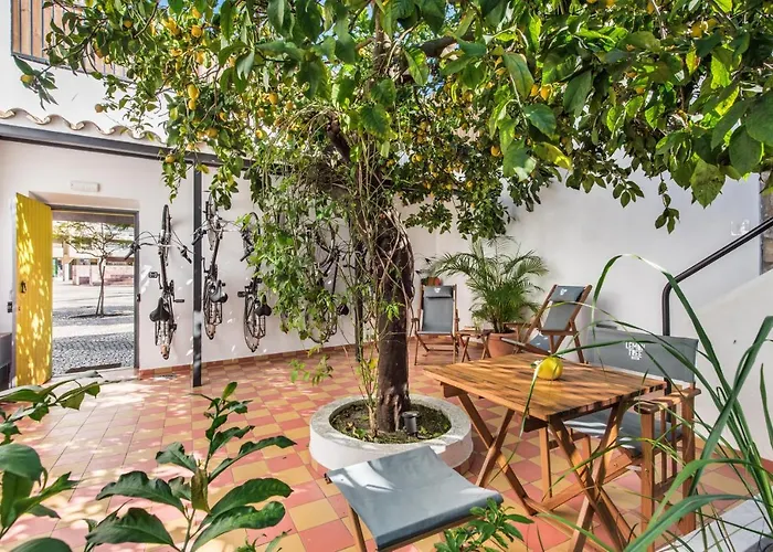 Perros hoteles Lemon Tree Stay