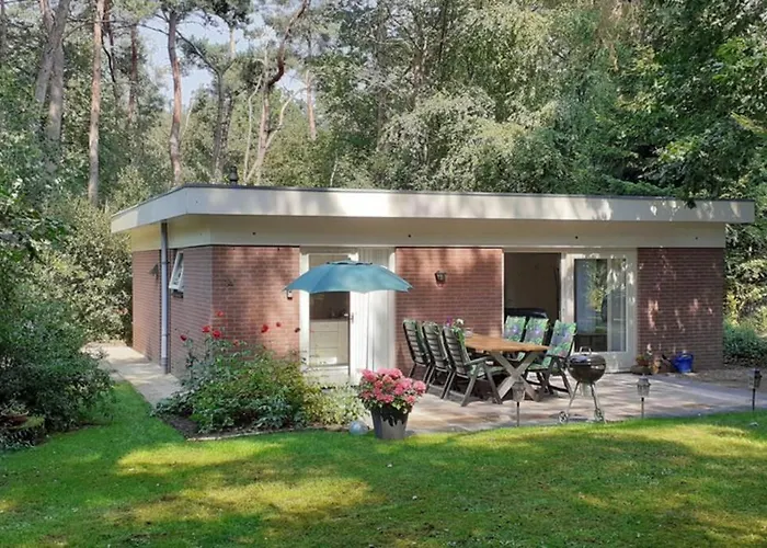Drentse Bungalow In Natuur En Rust