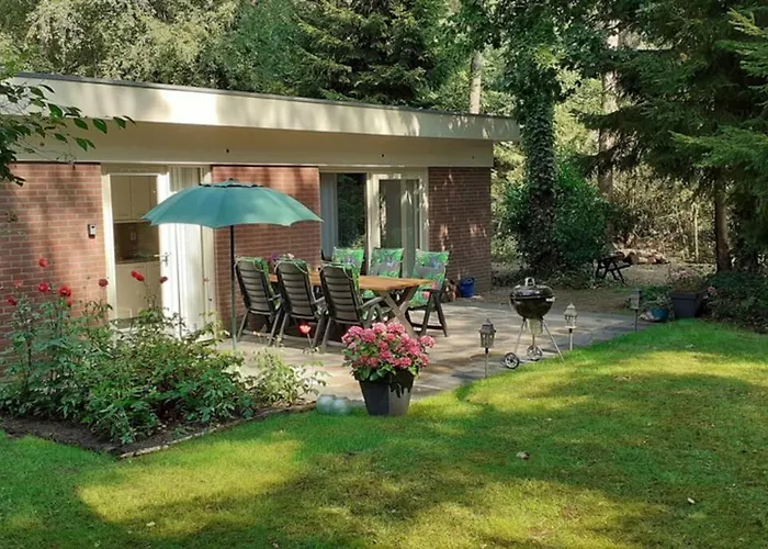 Drentse Bungalow In Natuur En Rust