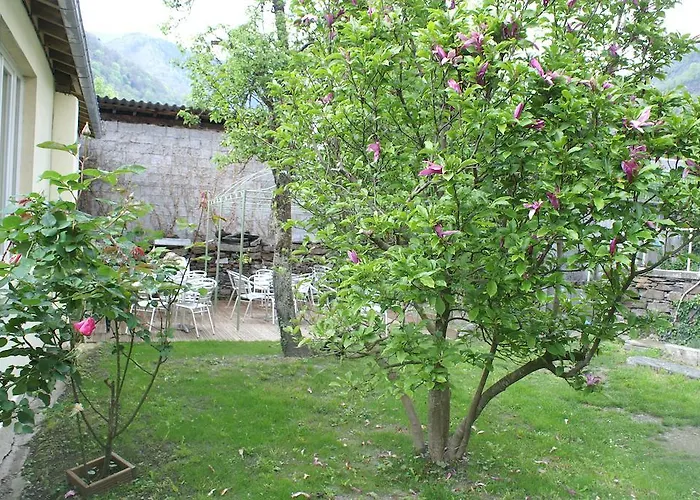 Hôtel accueillant les animaux: Hôtel Céleste