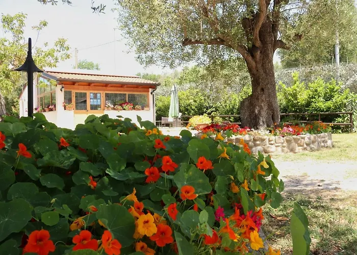 Rosada
