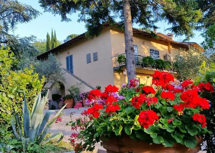 Hotel Ping Pong: Ulivi Di Castello