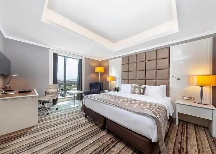Haustierfreundliches Hotel: Dedeman Bostanci Istanbul Hotel & Convention Center