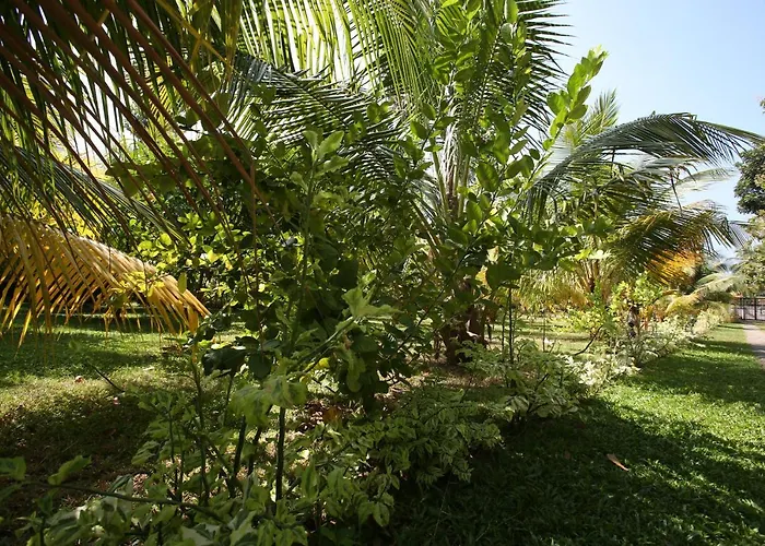 Villa: Negombovilla