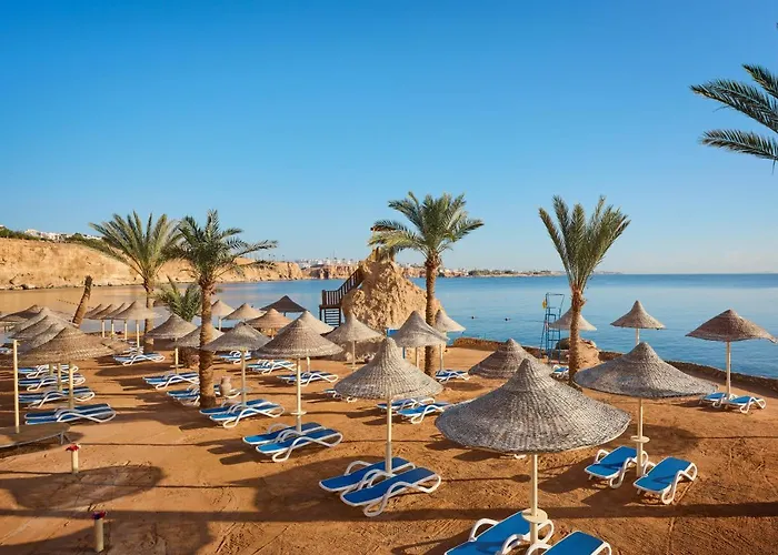 Ping Pong hotel: Dreams Beach Resort - Sharm El Sheikh