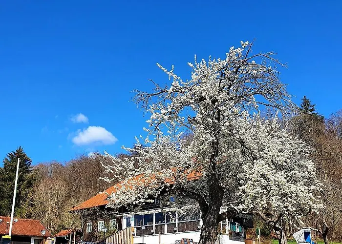 4-Sterne-Hotel: Schatzbergalm Pension