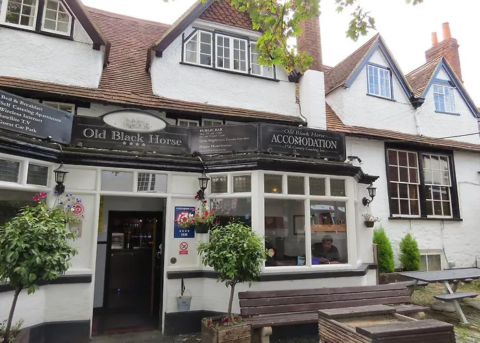 Old Black Horse