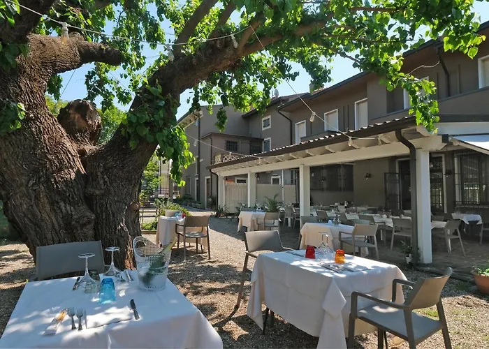 Gelmini