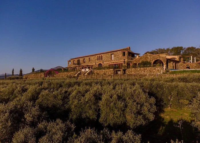Casa Mori House