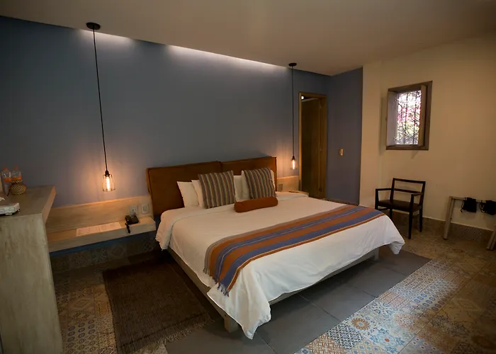 Dog friendly hotels Helverica