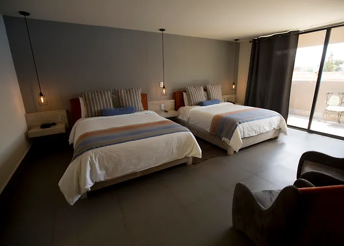 Dog friendly hotels Helverica