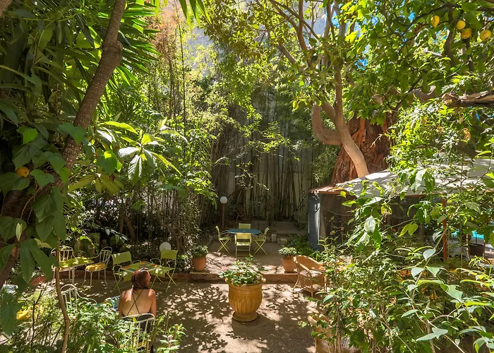 Hotel met uitzicht: Le Windsor, Jungle Art Hotel