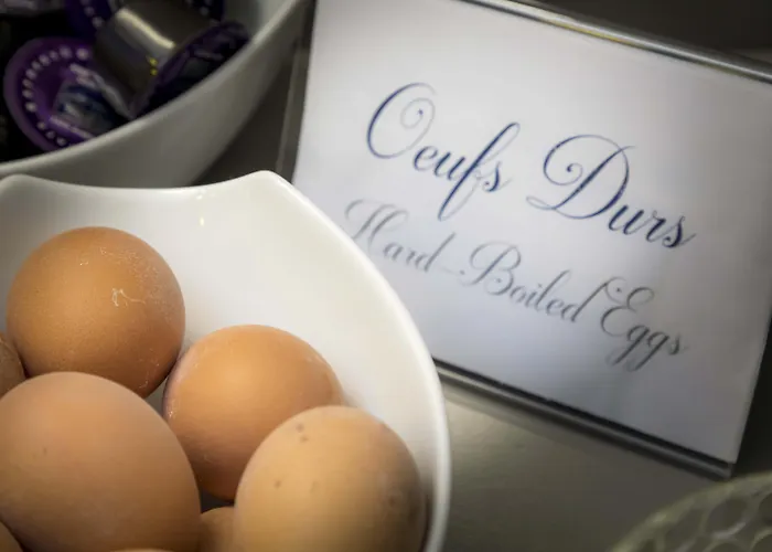 Hôtel accueillant les animaux: Libertel Gare Du Nord Suede