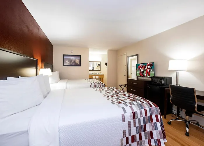 Hotel with pool: Red Roof Inn Knoxville North - Merchants Drive