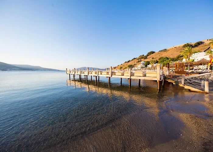 Ping Pong hotel: Salmakis Resort & Spa