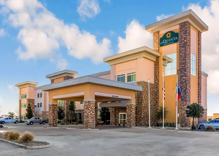 Pet Friendly hotel: La Quinta By Wyndham Monahans