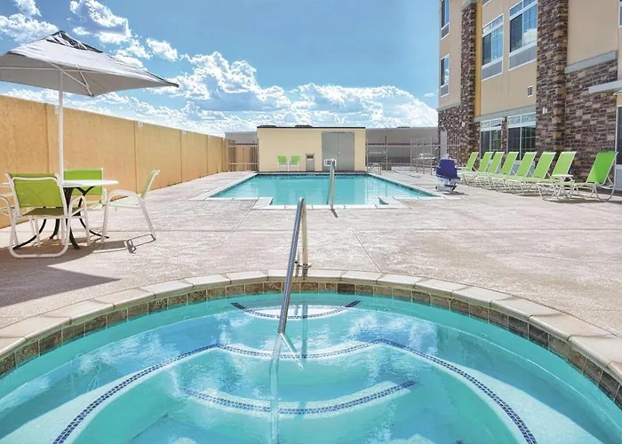 Pet Friendly hotel: La Quinta By Wyndham Monahans