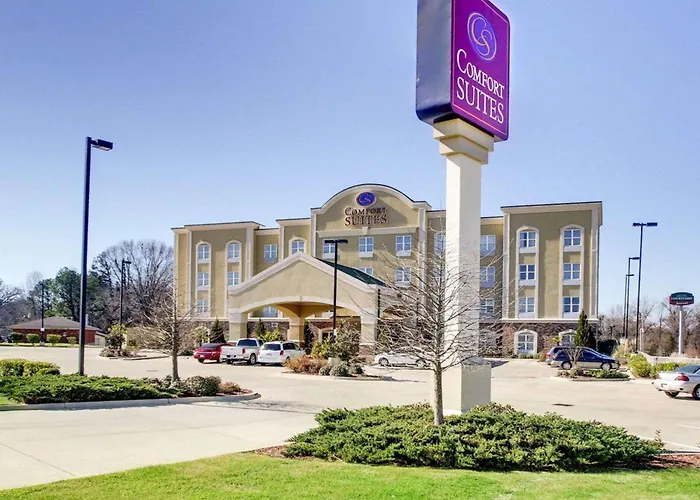 Resort: Comfort Suites Vicksburg