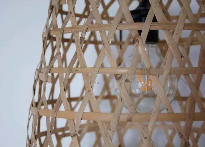 Huisdiervriendelijk hotel: You & Co. Saler Beach Boutique