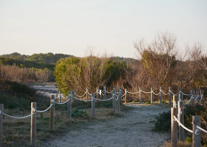 Huisdiervriendelijk hotel: You & Co. Saler Beach Boutique