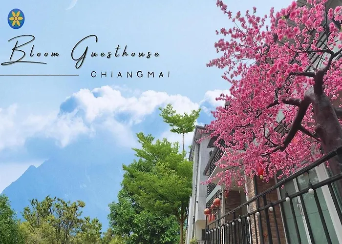 Bloom Guesthouse