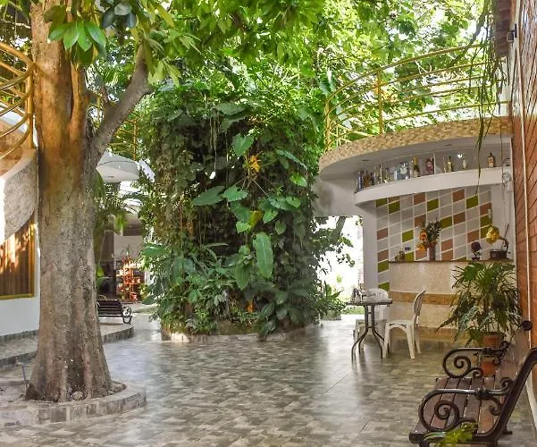 Green House Tarapoto