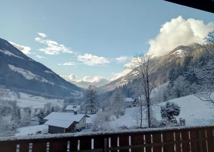 Obergereuth Hof 2021