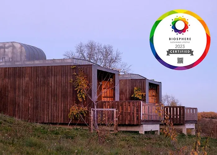 Betula Studios