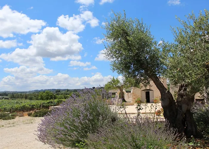 La villa: Trulli Laetitia