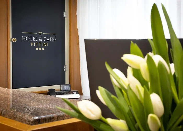 Hotel Pittini