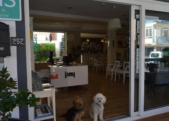 Hostal Mar Del Plata (Adults Only) El Arenal 