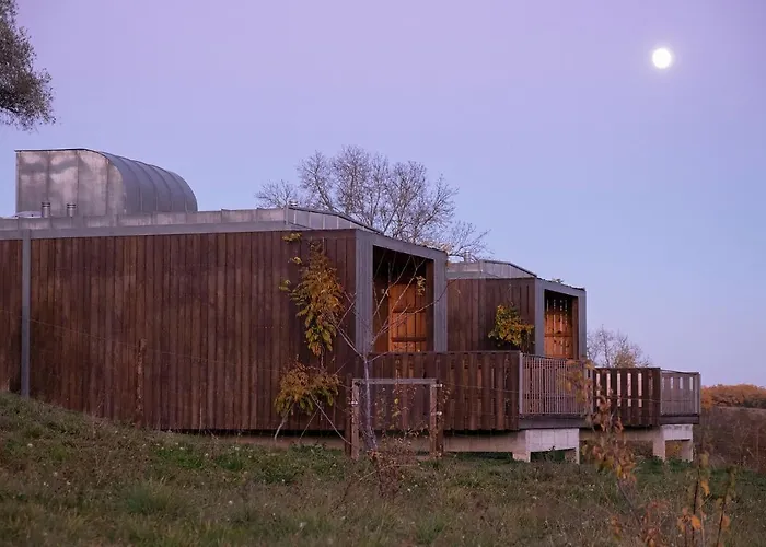 Betula Studios