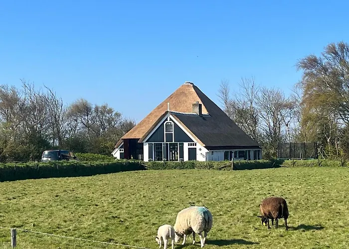 Vakantiehuisje Zuid Haffel