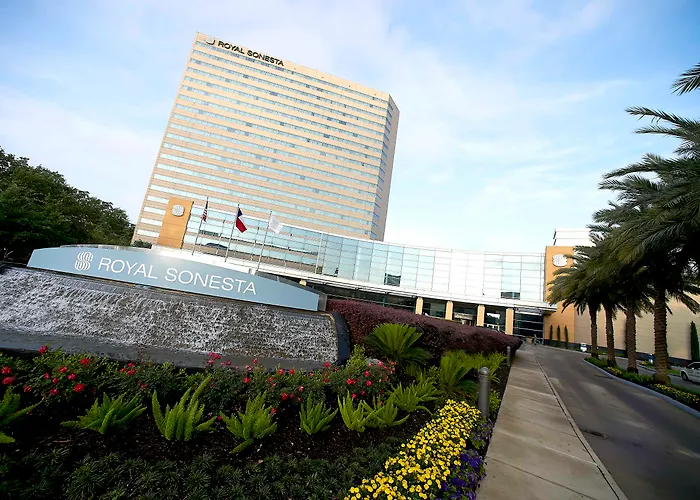 Hotel: The Royal Sonesta Houston Galleria