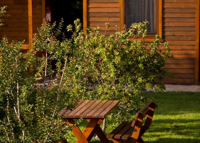 Sunny Garden