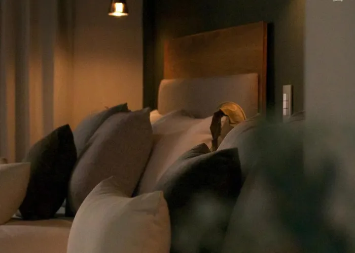 Hotel boutique: 