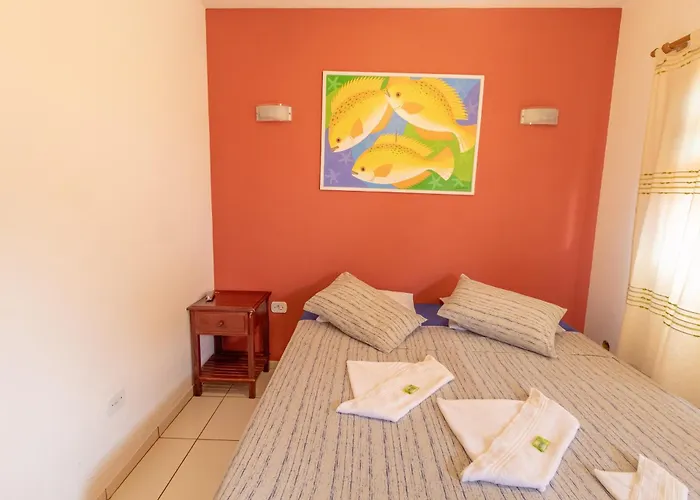 Hotel: Pousada Luz do Sol