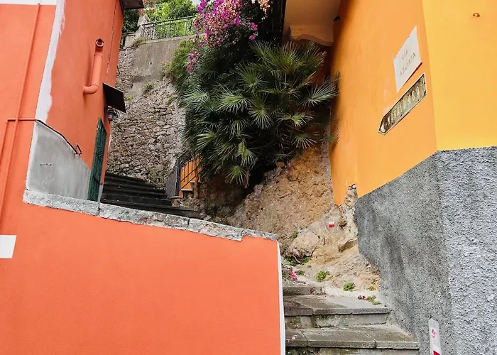 Casa Leone