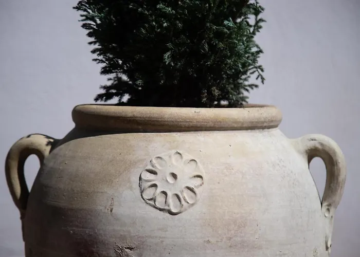 Hotel: Casa Dei Vettii B&B