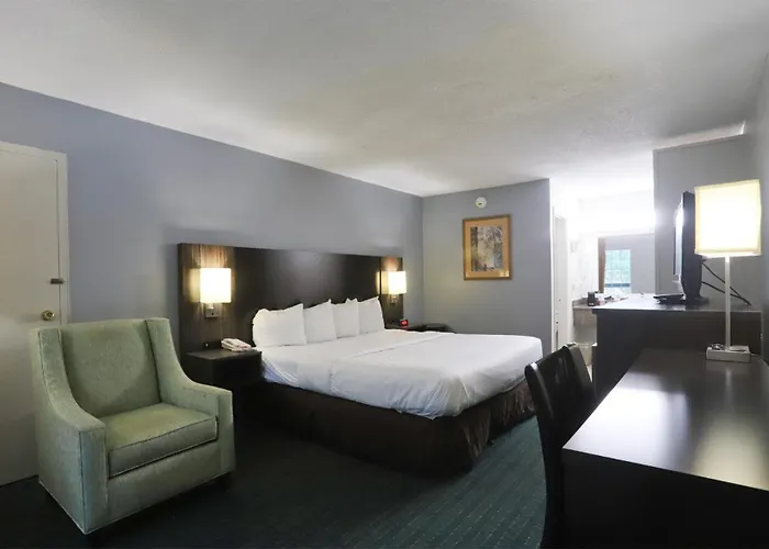 Pet Friendly hotel: Greenville Inn & Suites