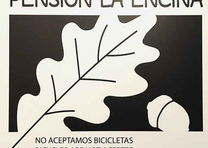 Hotel que admite mascotas: Pensión Miguel