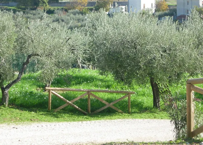 Casa vacanza: Agriturismo Angelucci